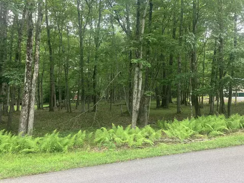 Elliot Lane, Albrightsville, PA 18210