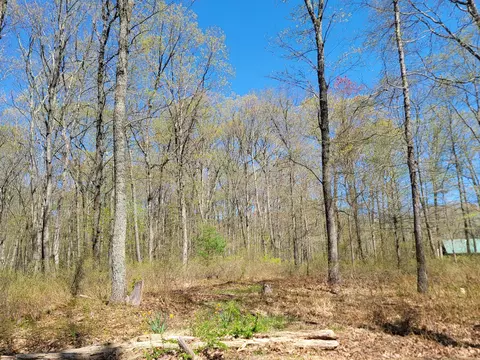 lot114 Pohopoco Cir, Lehighton, PA 18235