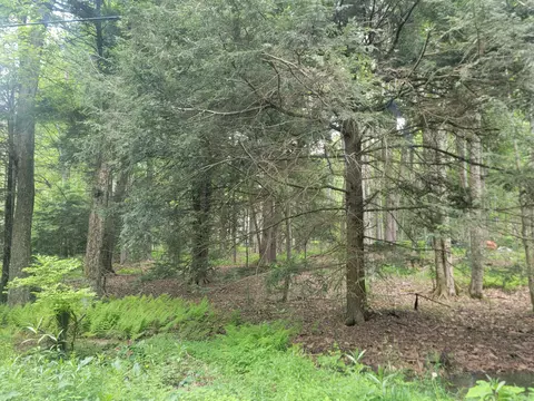 46 Onoco Dr, Pocono Lake, PA 18347