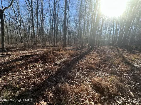 lot55 Tuscarora Ct, Beach Lake, PA 18405