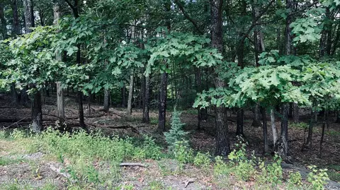3581 Warwick Ct, Bushkill, PA 18324