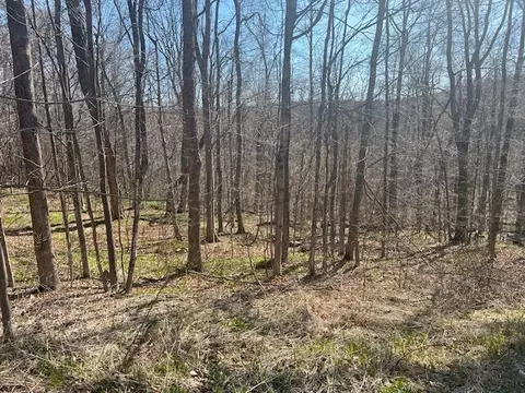 Maple Grove Road, Moscow, PA 18444