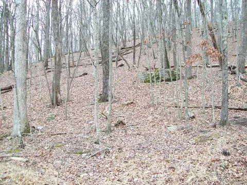 2 65 Acres Decker Rd, Bushkill, PA 18324