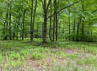 903 W Wadi Rd W, Pocono Lake, PA 18347