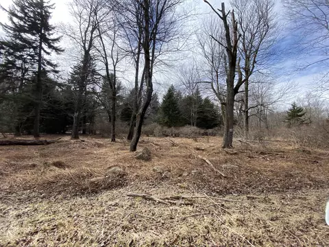 905 Wadi Rd W, Pocono Lake, PA 18347