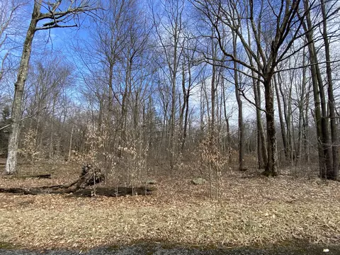 1020 W Wadi Rd W, Pocono Lake, PA 18347