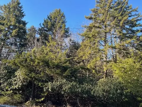 45 Pine Cone Rd, Pocono Pines, PA 18350