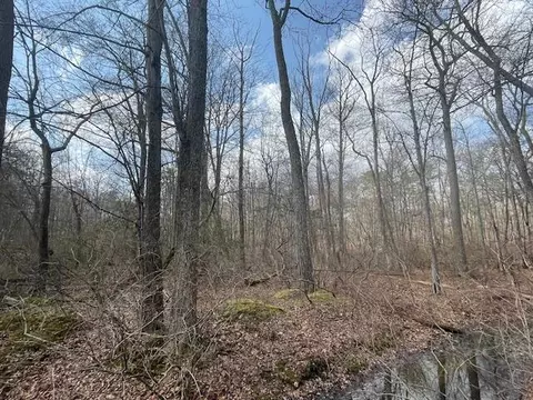 lot204 Big Oak Rd, Canadensis, PA 18325