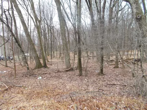 Woodland Ter 518, Henryville, PA 18332