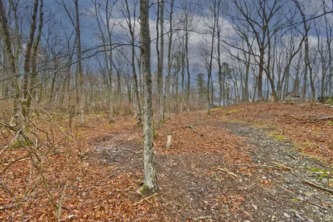 Exterior - 1152 Lancaster Dr, Bushkill, PA 18324 photo 3 of 11