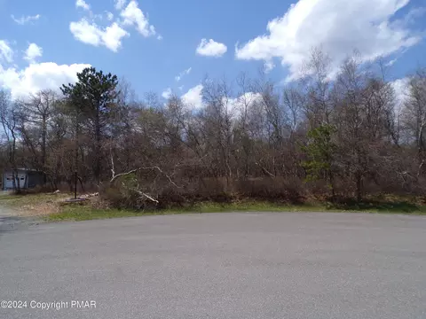 lot36 Pearson Ct, Albrightsville, PA 18210
