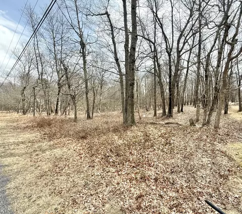 Ev1234 Chapman Circle, Albrightsville, PA 18210