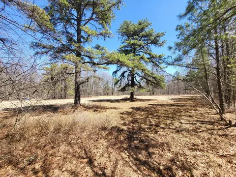 Parcel E Buckhorn Ln Lane, Cresco, PA 18326