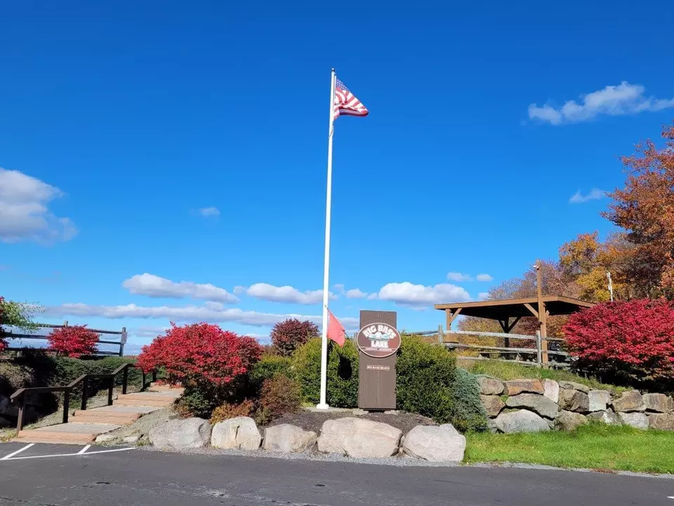  118 State Park Dr, Gouldsboro, PA 18424 photo 5