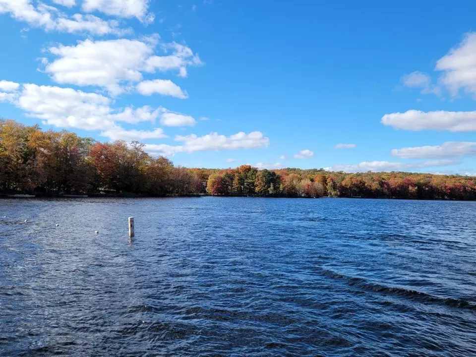  118 State Park Dr, Gouldsboro, PA 18424 photo 4