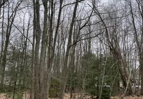 2425 Alter Avenue, Pocono Summit, PA 18346