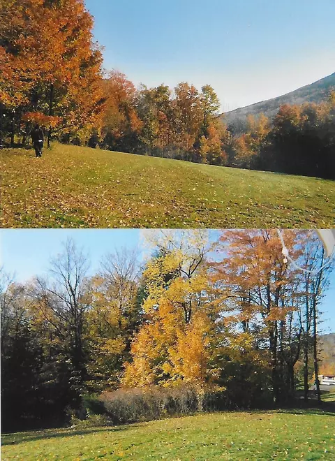Pantherlick Road, Sugar Run, PA 18846