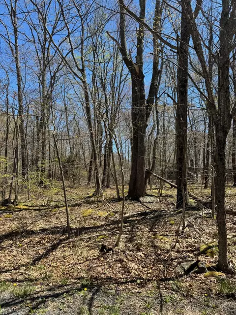 130 Wagner Way, Pocono Lake, PA 18347
