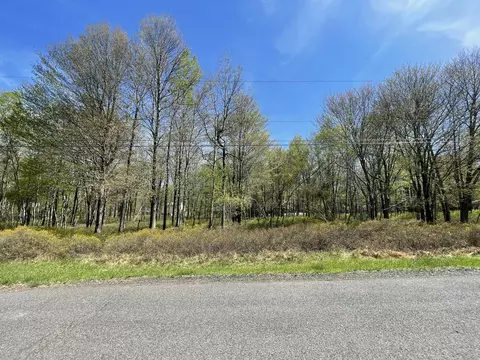 Forest Hill Drive, Blakeslee, PA 18610