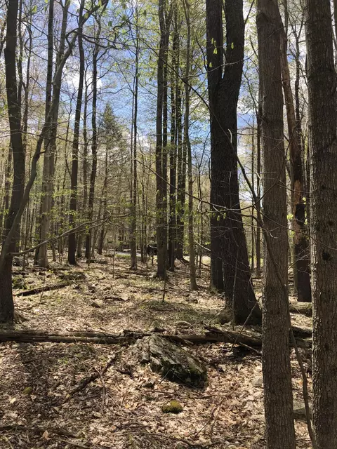 Fala Court, Pocono Lake, PA 18347