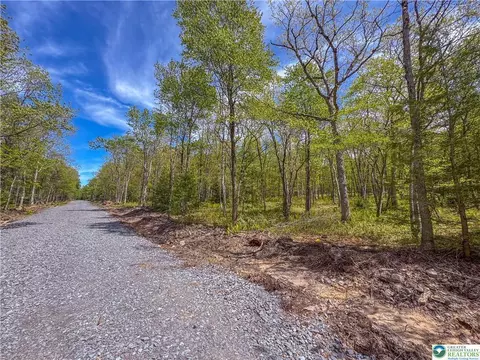 lot567 Cross Run Rd, Jim Thorpe, PA 18229