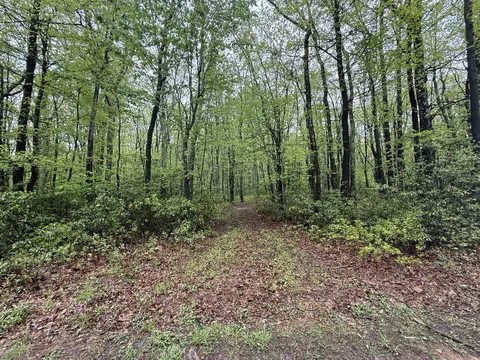 lot1 Sportsman Trl Trl, Stroudsburg, PA 18360