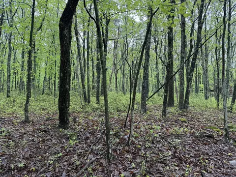 lot2 Sportsmans Trl, Stroudsburg, PA 18360