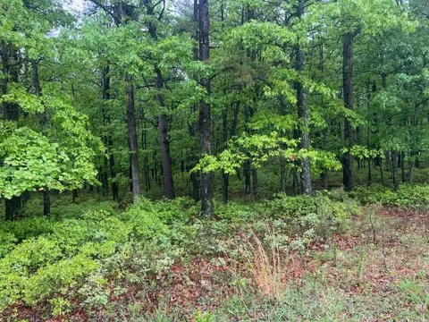 1 Dew Drop Drive, Jim Thorpe, PA 18229