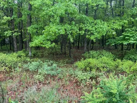 2 Dew Drop Drive, Jim Thorpe, PA 18229