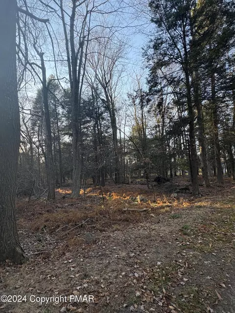 1 Saphire Ct, Newfoundland, PA 18445