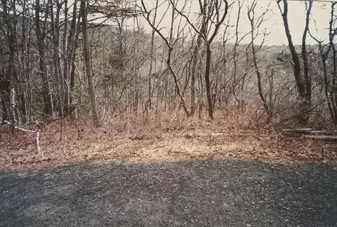88 Beaver Ln, East Stroudsburg, PA 18301
