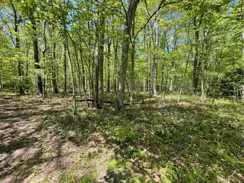 A310 Poplar Drive, Jim Thorpe, PA 18229