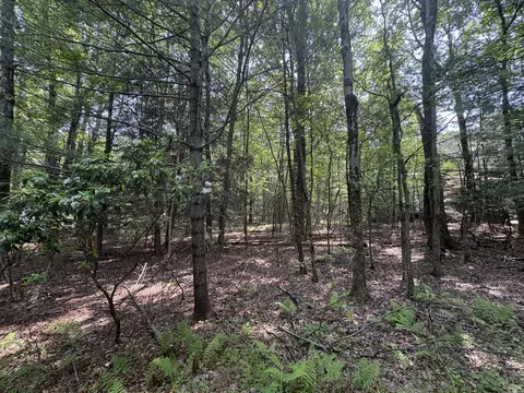 lot1009 Ash Ln, Kunkletown, PA 18058