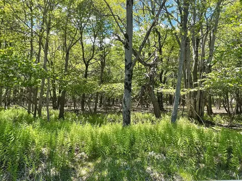 Ev805 Stony Mountain Road, Albrightsville, PA 18210