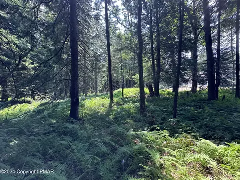 1127 Sawmill Rd 1127 Rd, Pocono Lake, PA 18347