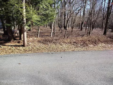 11 Cheilo Path, Pocono Lake, PA 18347
