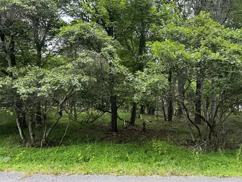 lot Ep1850 Chippewa Trl, Albrightsville, PA 18210