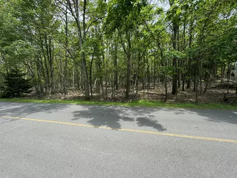 407 Skyline Dr, Albrightsville, PA 18210
