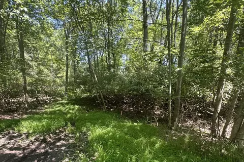 lot2 Tamarack Ter, Pocono Summit, PA 18346