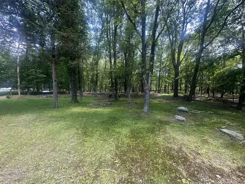 Exterior - 2215 Delaware Ct E, Bushkill, PA 18324 photo 6 of 8