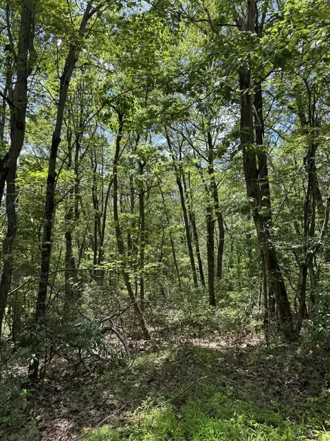 Pond Creek Road, White Haven, PA 18661