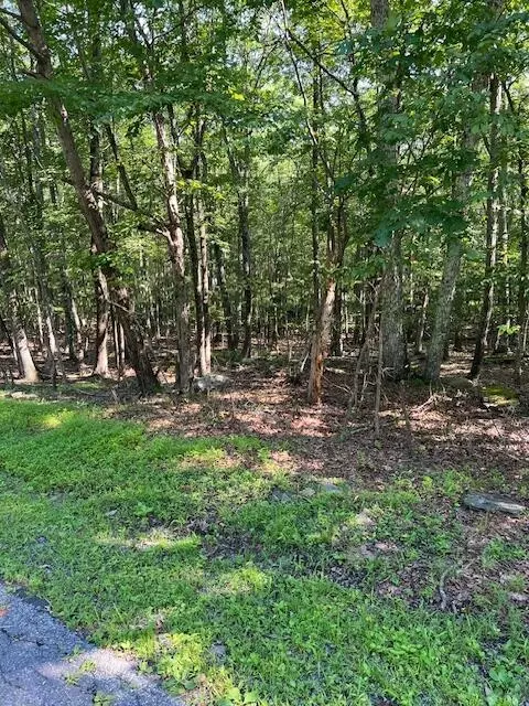22 Pocono Forested Drive, East Stroudsburg, PA 18302