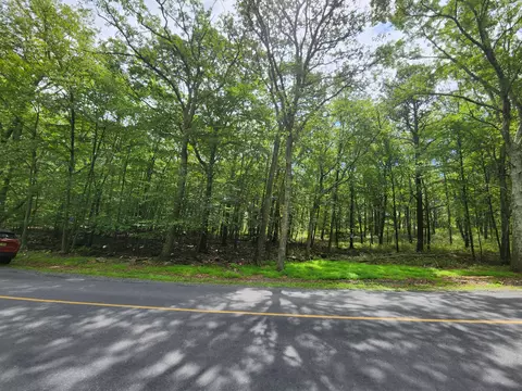 Mallard, Bushkill, PA 18324