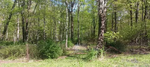 719 Toll Rd, Effort, PA 18330