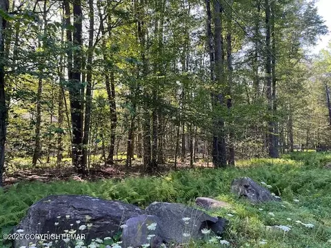 1175 Gross Dr, Pocono Pines, PA 18350