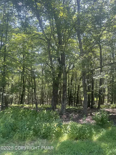 315 Doe Loop, Bushkill, PA 18324