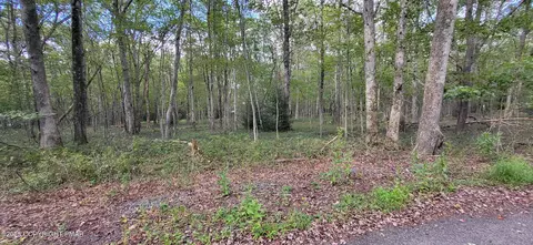 Poplar Lane, Jim Thorpe, PA 18229