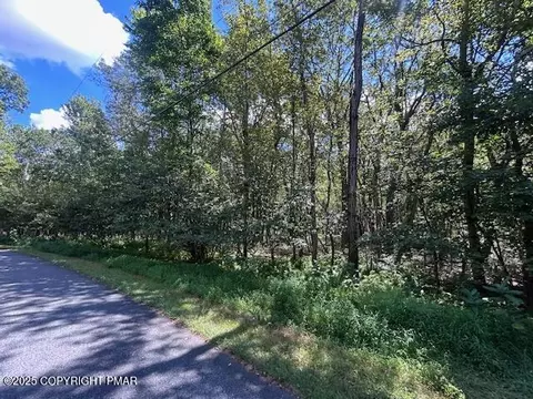 lot20 Alas Piney Woods Dr, Jim Thorpe, PA 18229