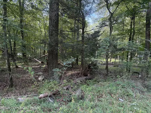 lot59 Shine Rd, Henryville, PA 18332