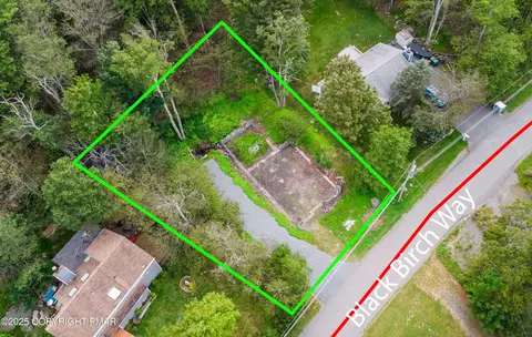 1523 Black Birch Way, Tobyhanna, PA 18466